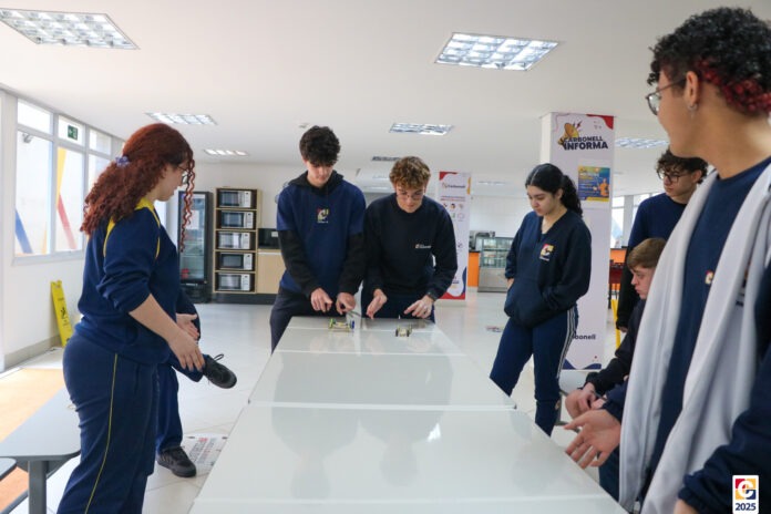 2025-EM1 - Carrinhos-1